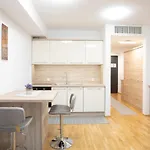 Apartment Studio Novak