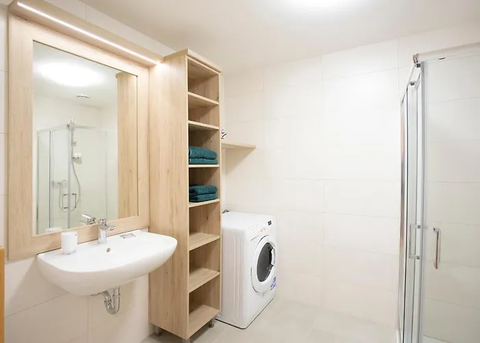 Διαμέρισμα Studio Novak *