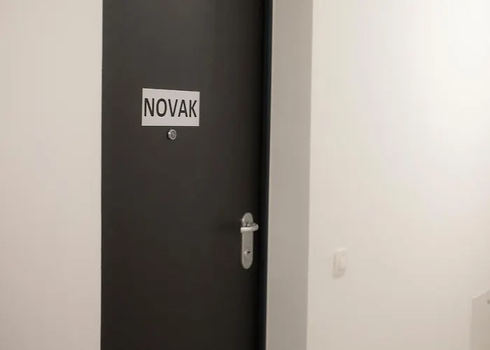 Διαμέρισμα Studio Novak *